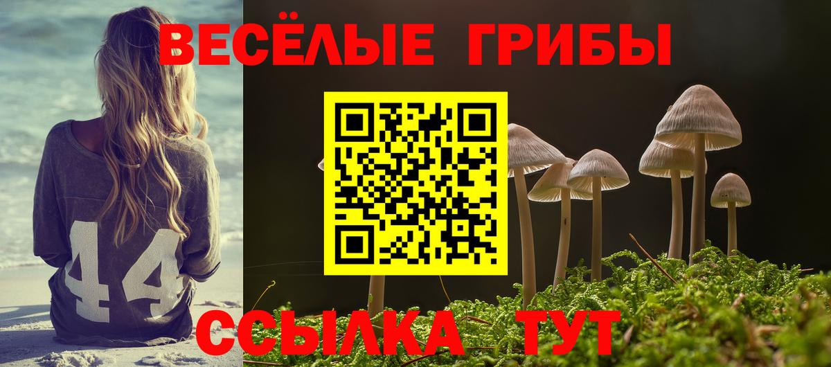 Галлюциногенные грибы ЛСД  Галлюциногенные грибы Cubensis  Вход с VPN  Ростов Великий 